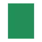 Adel Fon Kartonu 50X70 160Gr Yeşil (4342023001) - ADEL