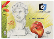 Alex Resim Defteri 35X50 15 Yaprak 120Gr (120.35) - ALEX