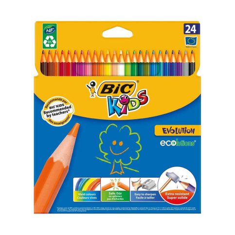 Bic Evolution Kuru Boya 24 Renk Karton Kutu (929733) - 1