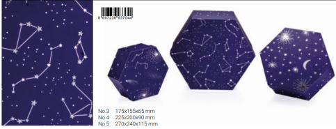 Gıpta Cosmic Altıgen Hediyelik Kutu 270X240X115 (Bx7044-05) - 1