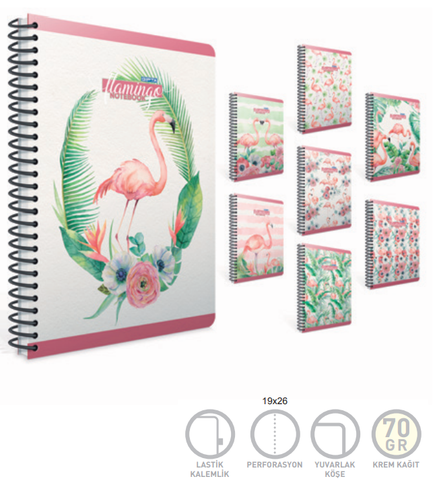 Gıpta Flamingo Spiralli Defter 19X26 Kareli 100 Yaprak (4172) - 1