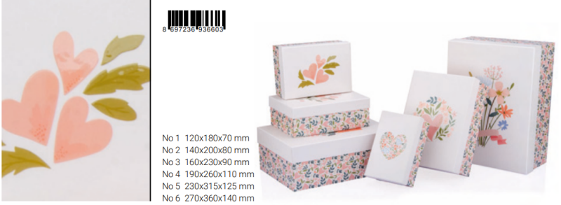 GIPTA FLORAL HEDİYELİK KUTU 190x260x110 (6603-04)