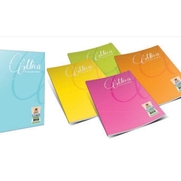 Gıpta Mica Plastik Kapak Defter A4 Çizgili 100 Yaprak (2488) - GIPTA