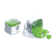 Mas 1262 Cubbie Harita Çivisi Yeşil 30 Adet - MAS