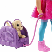 Mattel Barbie Seyahatte Chelsea Ve Aksesuar (Fwv20) - 2