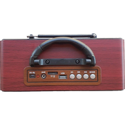 Powerway Nsj5 Classic Radyo - 2