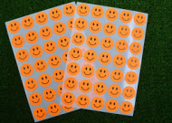 Tanex Tnx-328 19Mm Flo Turuncu Gülen Yüz Etiketi 2 Adet - TANEX