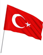 Vatan Vt-237 Sopalı Ponje Bayrak 20X30Cm - Vatan