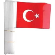 Vatan Vt-801 Çıtalı Bayrak Normal 80Li - Vatan